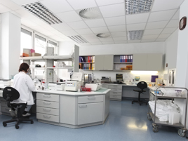 iStock_000008321340Medium_neu.jpg